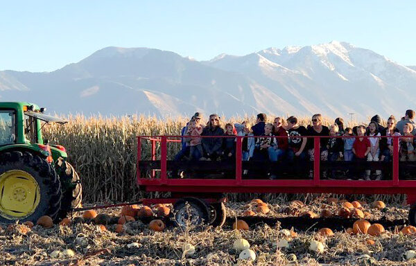 hay-ride-banner